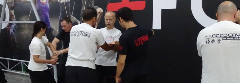 Kung Fu Caserta Wing Chun Academy Wing Tsun e Wing Tjun a Caserta, Frosinone, Avezzano, Latina, San Severo, Italia Sifu Salvatore Mezzone (101)